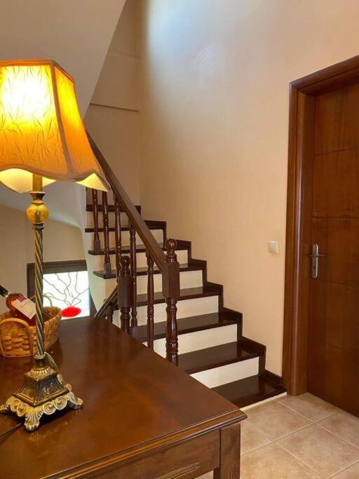 Helen'S House Apartment Palairos Bagian luar foto