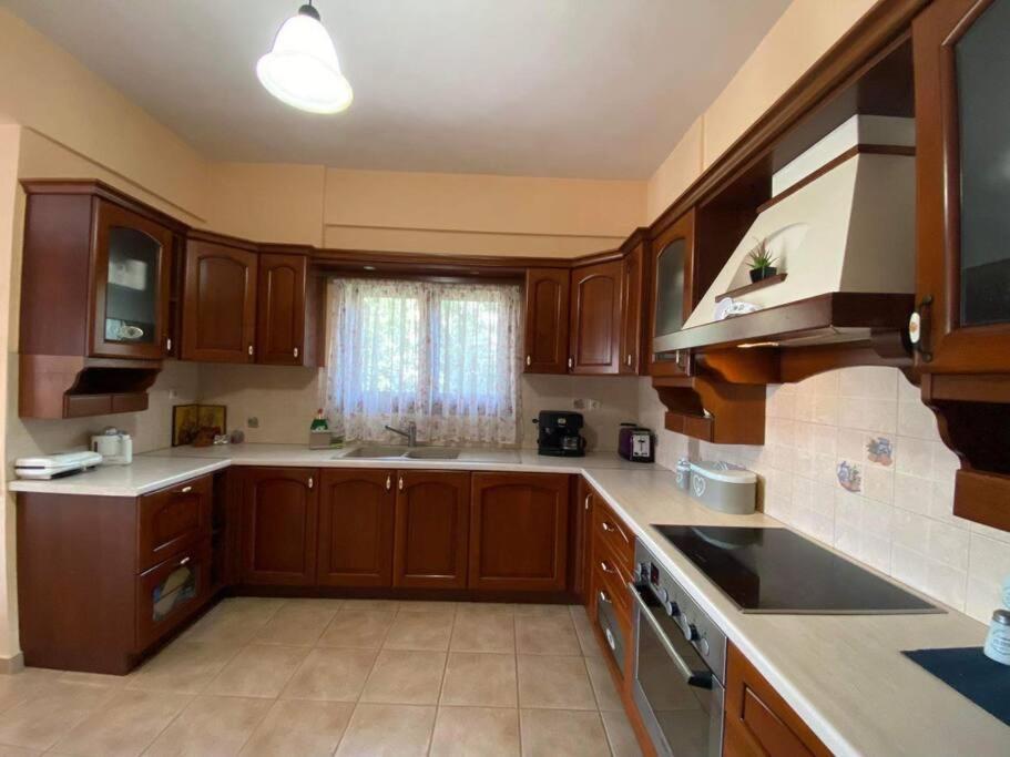 Helen'S House Apartment Palairos Bagian luar foto
